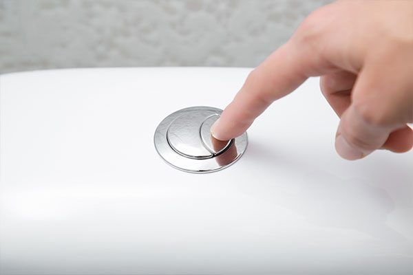 dual flush